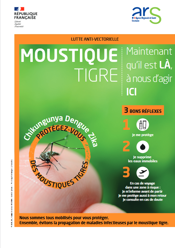 Moustiques tigres - le nouveau traitement écologique par DKM Experts